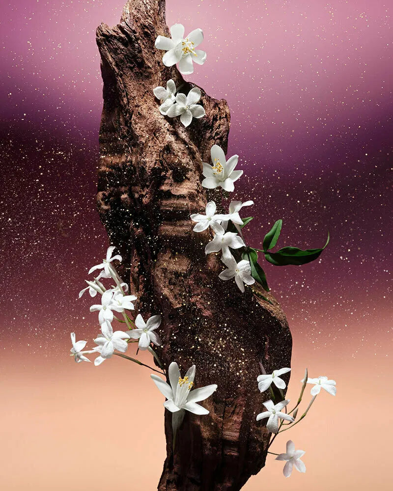 Louis Vuitton Fleur du Désert