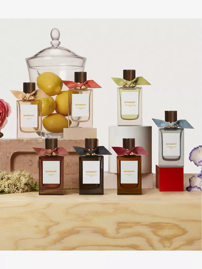 Burberry Midnight Journey